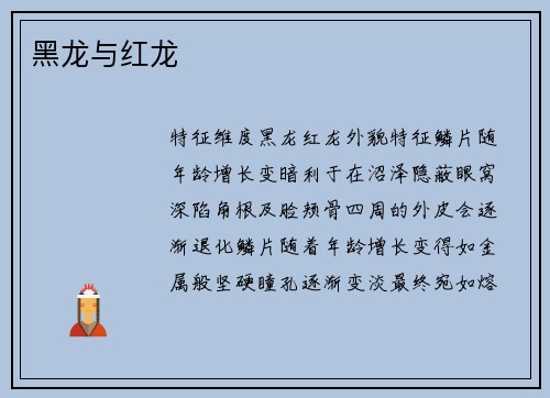 黑龙与红龙